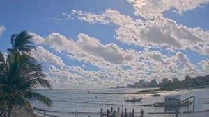 К чему попадается лавровый лист в еде что предполагает известная примета