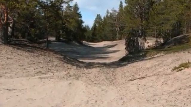 ДОЛГАЯ ДОРОГА В ДЮНАХ 1)