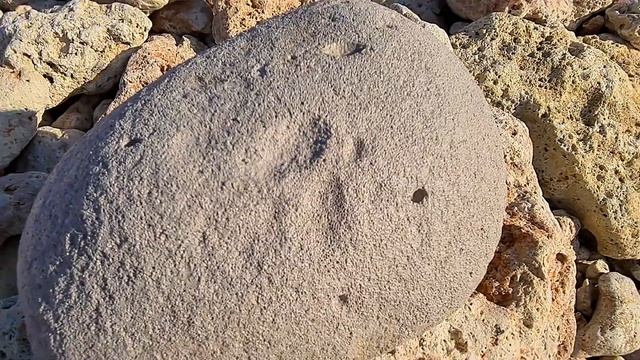 В ШОКЕ ОТ ТОГО ЧТО НАШЛИ! в море - это огромная пемза) Даринелка влог смотреть онлайн