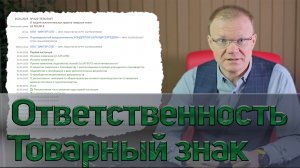 Ответственность за нарушение использования товарного знака. Дело ООО «Зингер Спб»