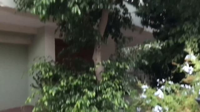 Отпуск в ?? почему в отпуске готовим сами ? Спасибо за ваши советы ?? Турция 2022
