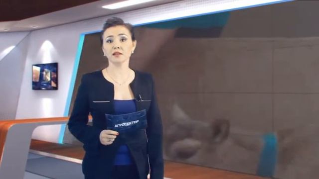 Агросектор. От малого бизнеса до крупных стартапов смотреть онлайн