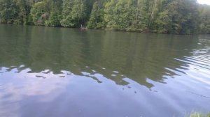 Рыбалка Брянск