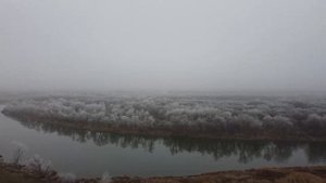 Санаторий Белая Горка Богучарский район Воронежская область