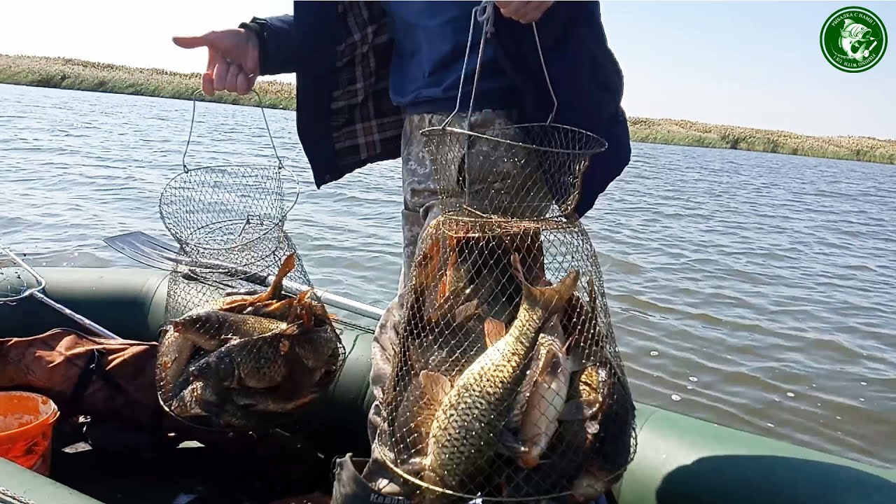 Я НЕ ЗАГОТОВИТЕЛЬ, ПРОСТО ОН КЛЮЁТ! УДОЧКИ ГНУТСЯ, ПОВОДКИ РВУТСЯ, А РУКИ ТРЯСУТСЯ! ОЗЕРО НЕМЕЦКОЕ!