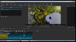 Как сделать в видеозаписи зеркальное отображение видеоредактором Shotcut