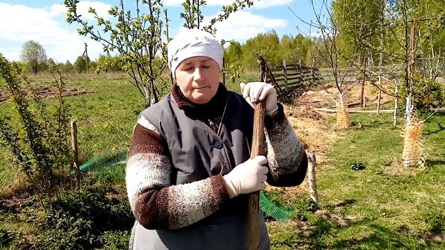 Как сделать землю МЯГКОЙ и ПЛОДОРОДНОЙ. смотреть онлайн