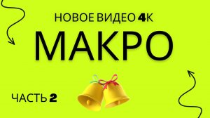 Макросъёмка в 4К часть 2