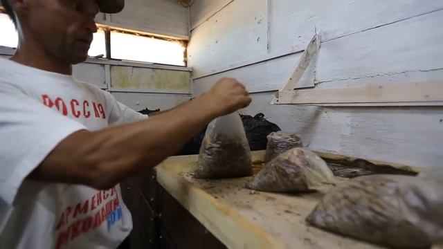 Александр Панько о вегетарии г. Иркутск