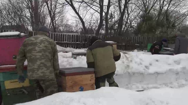 Новые ульи Калинка. Зимовка в Калинках