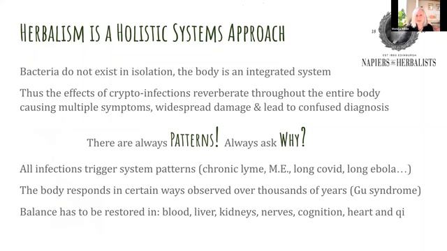 Lyme Disease: A Collaborative Approach - Dr John Lambert and Monica Wilde смотреть онлайн