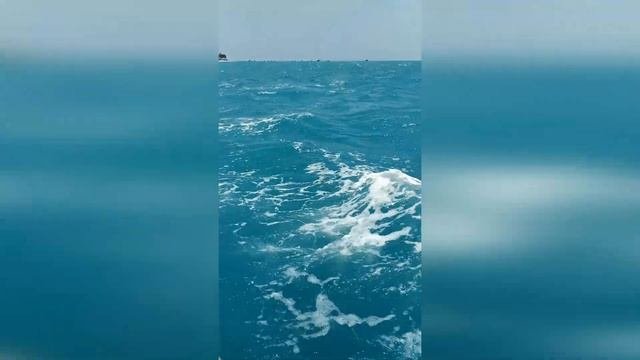 Африка Занзибар обзор Что нужно знать о Занзибаре Готовимся к поездке на Занзибар Рай/разочарование
