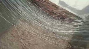 Эти сети гребут всё. Ячея 70 мм. 3 метра высота.