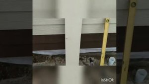 Монтаж фиброцементного сайдинга Cedral (Кедрал) без специальных кронштейнов.