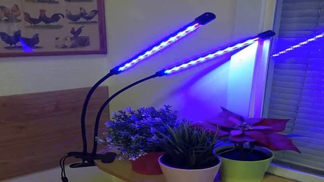 фитосветильники для растений купить алиэкспресс