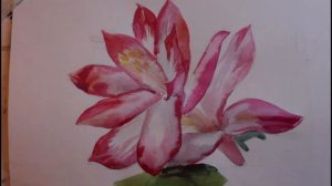 Рисуем акварелью. Декабрист