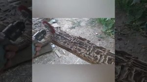Куда можно применить старые доски, непригодные для стройки