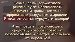 КАК ИЗБАВИТЬСЯ ОТ ЖИРОВИКА, ЛИПОМЫ. Советы дерматологов