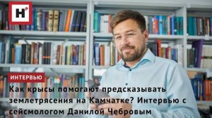 Как крысы помогают предсказывать землетрясения на Камчатке? Интервью с сейсмологом Данилой Чебровым