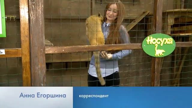 В КОНТАКТНОМ ЗООПАРКЕ  РОДИЛСЯ ДЕТЕНЫШ ЛЕТУЧЕЙ  СОБАКИ 11.12.2017