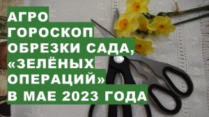 Агрогороскоп обрезки садовых растений и "зелёных операций" на вегетирующих растениях на май 2023