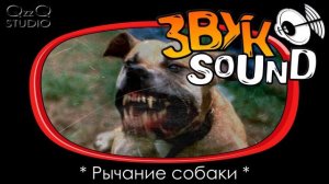 Рычание собаки ЗВУК / собака рычит, злая собака | Dog growling, dog growls, dog roar, angry dog