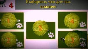 Тест.Кто Ты Из Животных?