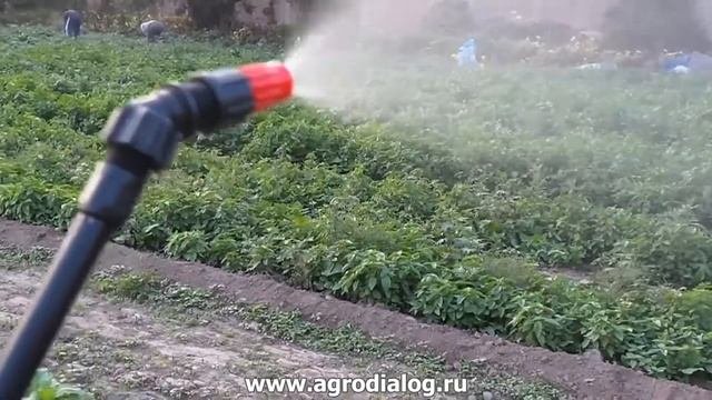 Ручной ранцевый опрыскиватель Solo 435