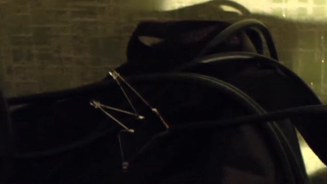 самая простая светомузыка смотреть онлайн