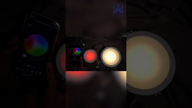 @BardiSmartHome Beacon Panel Downlight 8W & 14W RGBWW смотреть онлайн