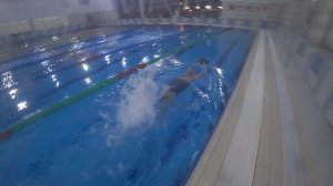 Ноги дельфин на спине (упражнение)