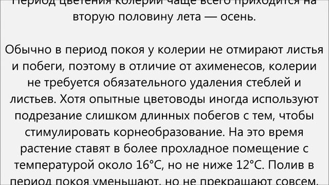 Колерия уход смотреть онлайн