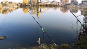 Рыбалка в Краснодаре. Как проехать и пройти на оз.Круглик. Какую рыбу можно поймать.