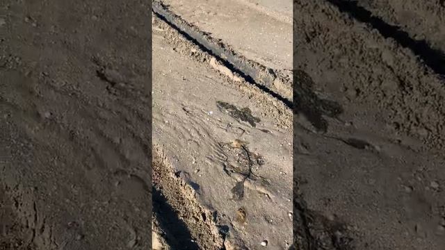 Subaru Outback в песне и грязи! Полный привод в деле! Пришлось сэкономить на тракторе! Мощь! Огонь! смотреть онлайн