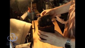 Наполнитель для аквариумного фильтра синтепон АСТРАсофт