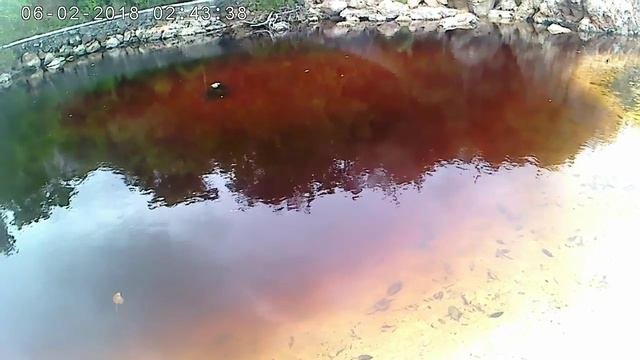 красная вода
