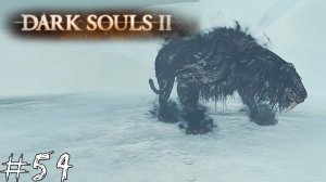 Dark Souls 2 #54 |Прохождение| Опять питомцы