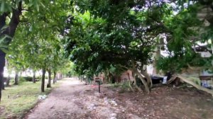 Едем в Абхазию, Алахадзы.