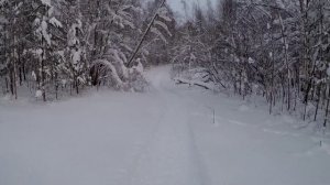 Охота на тетерева/покатушки на Буране/глубокий снег