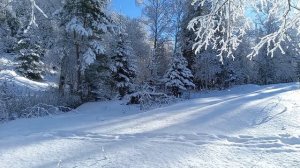 Зимний пейзаж!!!