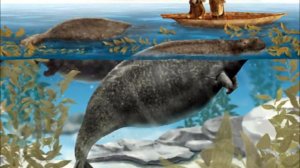 животные, которых мы никогда не увидим снова