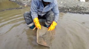 Урок. Как правильно мыть лотком сибирского типа!?