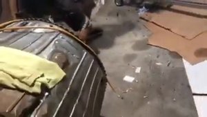 Американец и авиационный двигатель АШ 62ИР конструкции А Д Швецова