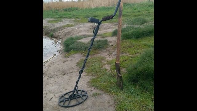 Синяя птица цветом ультрамарин Поиск с металлоискателем смотреть онлайн