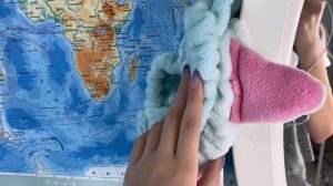 мой туалетный столик/моя косметика