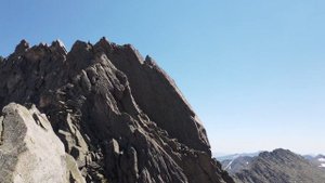 Чёрный узел летом 2020