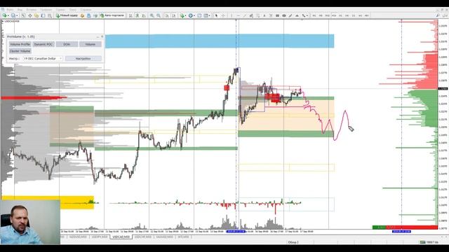 Аналитический обзор рынка форекс от Евгения Каташева на 17.09.2019. смотреть онлайн