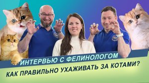 Интервью с фелинологом Марией Харак