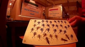 Как сделать самодельные силиконовые приманки