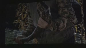 "Планета тайга" показала новый фильм о своей экспедиции